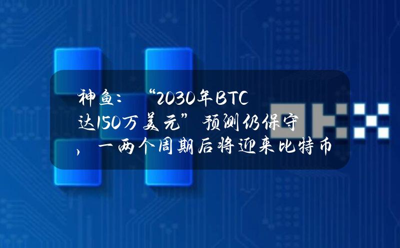 神鱼：“2030年BTC达150万美元”预测仍保守，一两个周期后将迎来比特币大规模应用爆发