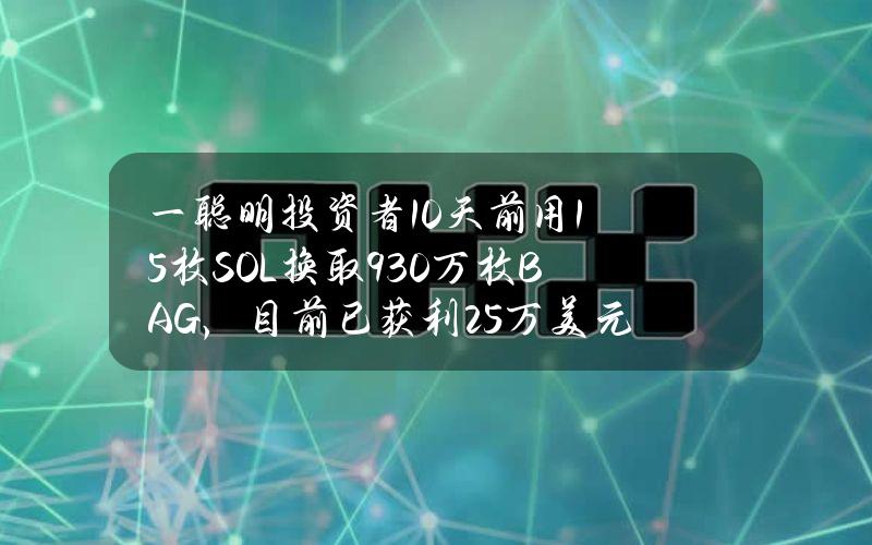 一聪明投资者10天前用1.5枚SOL换取930万枚BAG，目前已获利25万美元