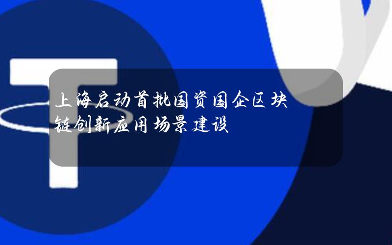 上海启动首批国资国企区块链创新应用场景建设