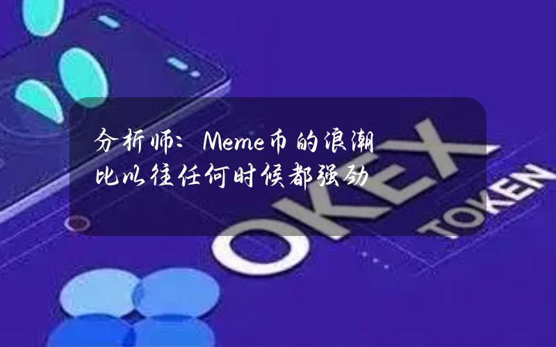 分析师：Meme币的浪潮比以往任何时候都强劲