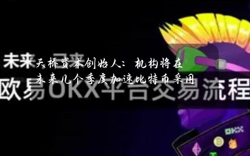 天桥资本创始人：机构将在未来几个季度加速比特币采用