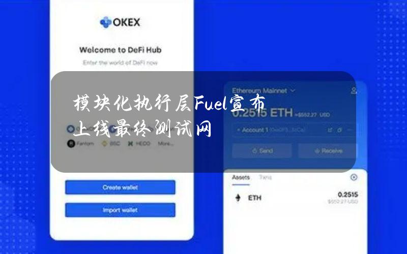 模块化执行层Fuel宣布上线最终测试网