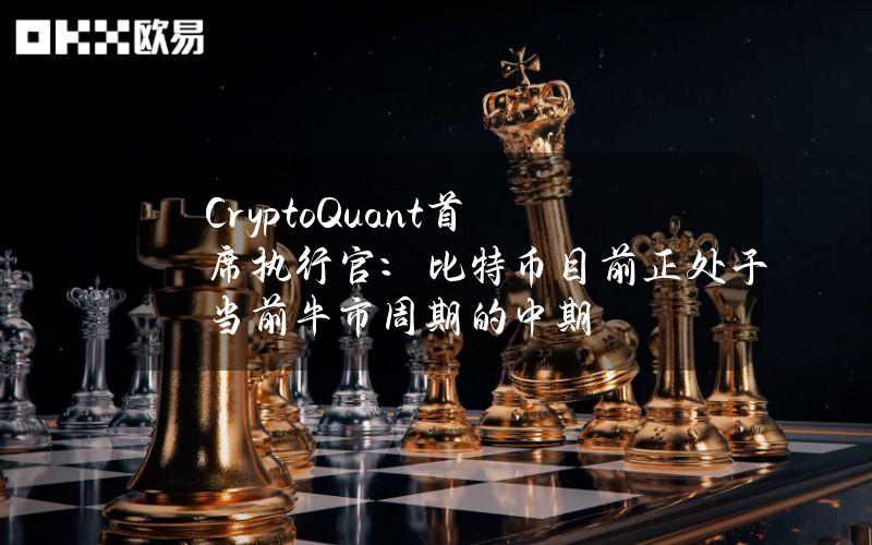 CryptoQuant首席执行官：比特币目前正处于当前牛市周期的中期