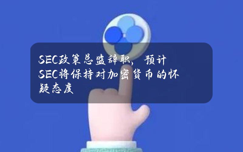 SEC政策总监辞职，预计SEC将保持对加密货币的怀疑态度